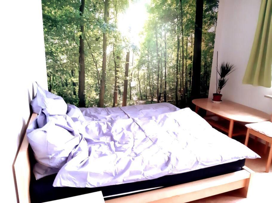 Zentral Und Doch Natur Keulen Buitenkant foto